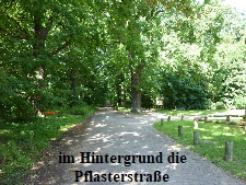 die Pflasterstrae