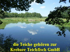 die Teiche der Teichfisch GmbH