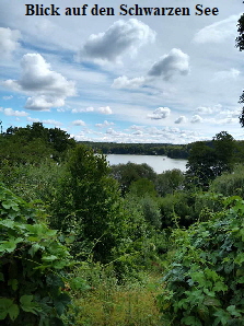 Blick auf den Schwarzen See