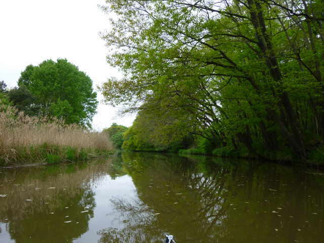 Beginn der Naturspree 01