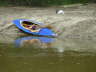 Kolibri am Ufer erste Pause
