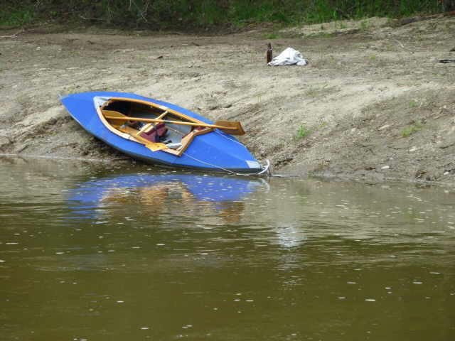 Kolibri am Ufer erste Pause